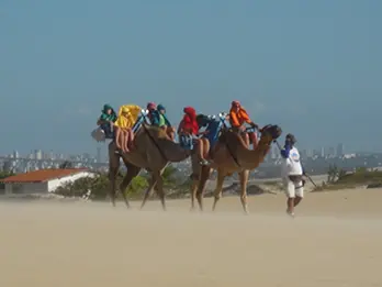 Dunas de Genipabu